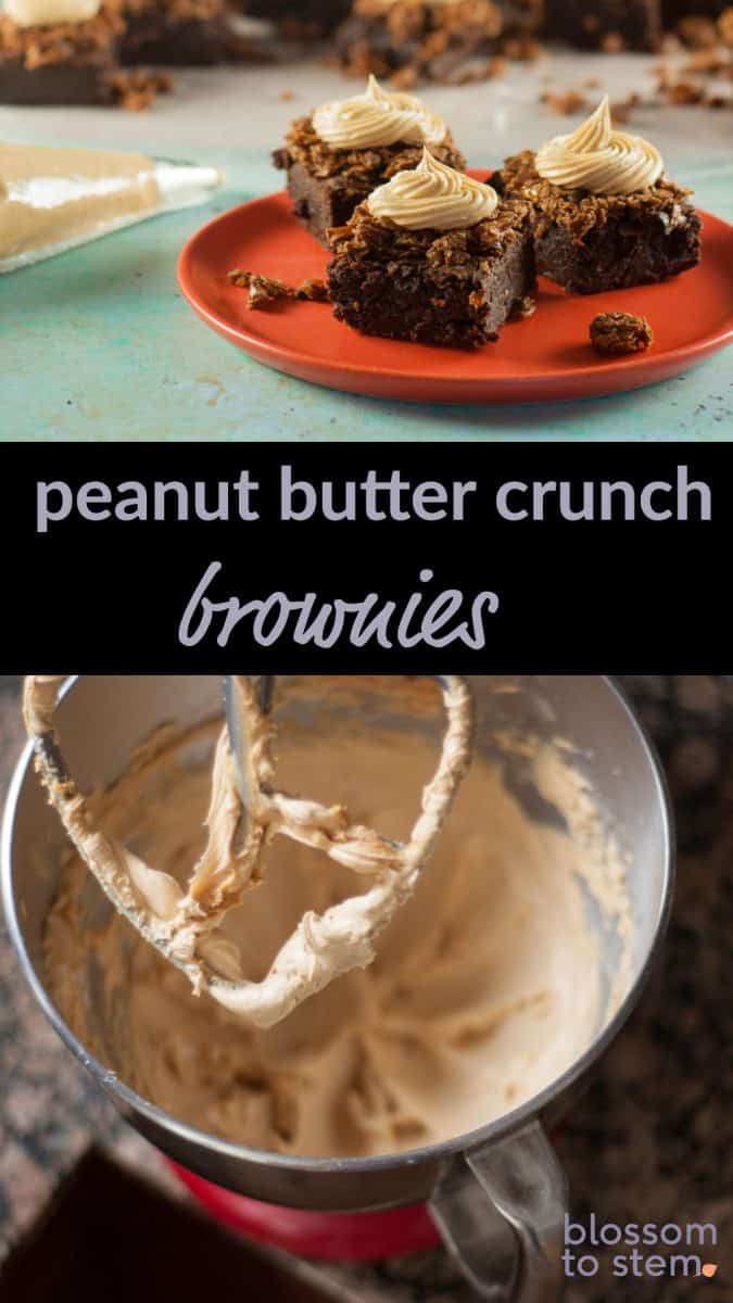 Chocolate Peanut Butter Crunch Brownies