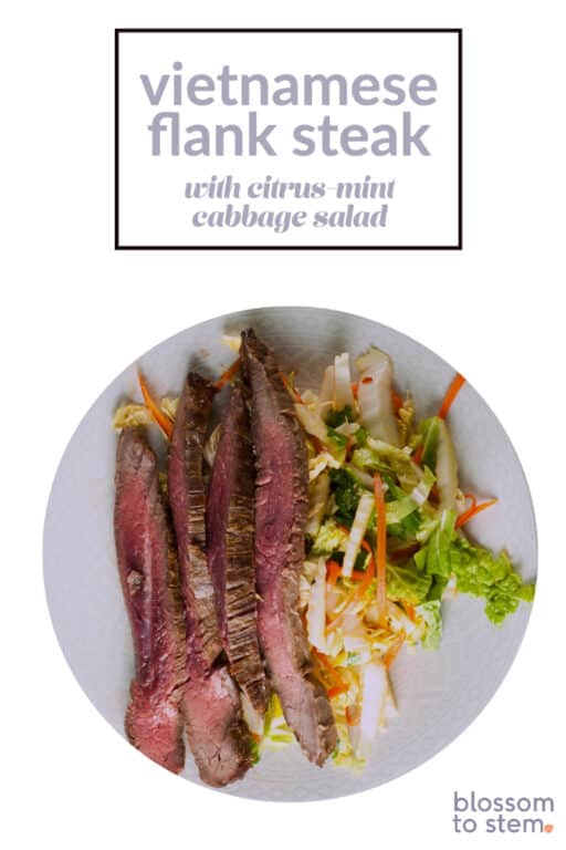 Vietnamese Flank Steak with CitrusMint Cabbage Salad Blossom to Stem