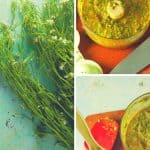 What to do with Wild Garlic Mustard Greens? Make Garlic Mustard Chimichurri. From Blossom to Stem | Because Delicious www.blossomtostem.net