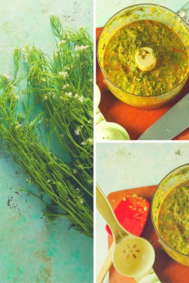 What to do with Wild Garlic Mustard Greens? Make Garlic Mustard Chimichurri. From Blossom to Stem | Because Delicious www.blossomtostem.net