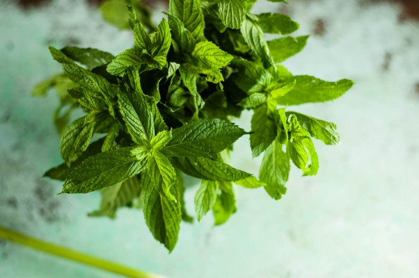 Crushed Peas with Mint and Olive OIl. A light spring melange of peas and mint that's lovely on toast or as a simple side. From Blossom to Stem | Because Delicious www.blossomtostem.net #vegetarian #glutenfree #recipe