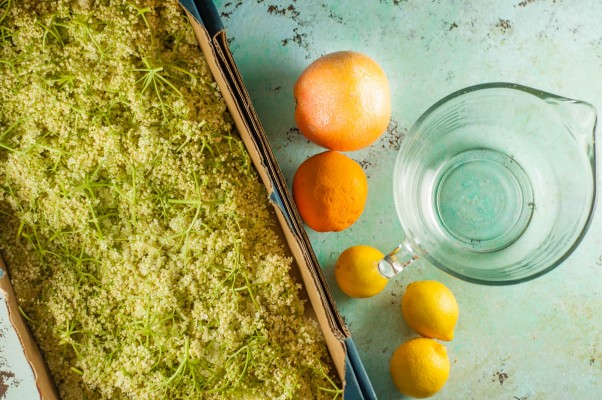 Elderflower Cordial. An easy syrup with elderflowers and citrus that makes a delicious homemade soda or cocktail mixer. From Blossom to Stem | Because Delicious www.blossomtostem.net