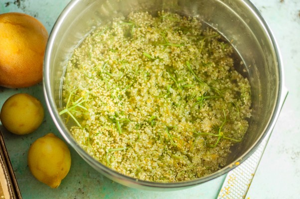 Elderflower Cordial. An easy syrup with elderflowers and citrus that makes a delicious homemade soda or cocktail mixer. From Blossom to Stem | Because Delicious www.blossomtostem.net