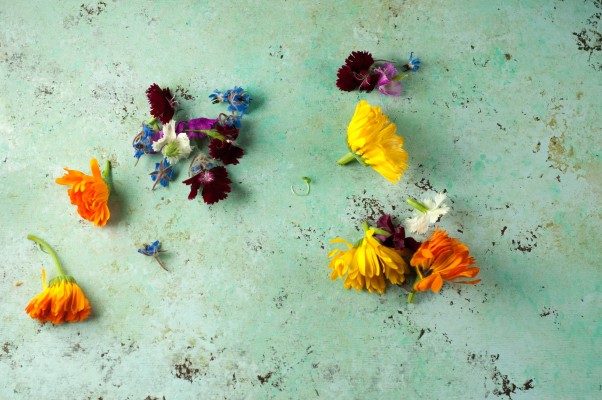 Lemon Elderflower Popsicles with Edible Flowers. From Blossom to Stem | Because Delicious www.blossomtostem.net