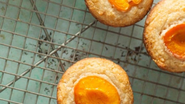 Almond Apricot Muffins - Blossom to Stem