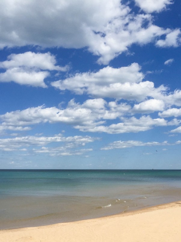 Foster Beach, Chicago, Lake Michigan | August 2015 | Blossom to Stem www.blossomtostem.net