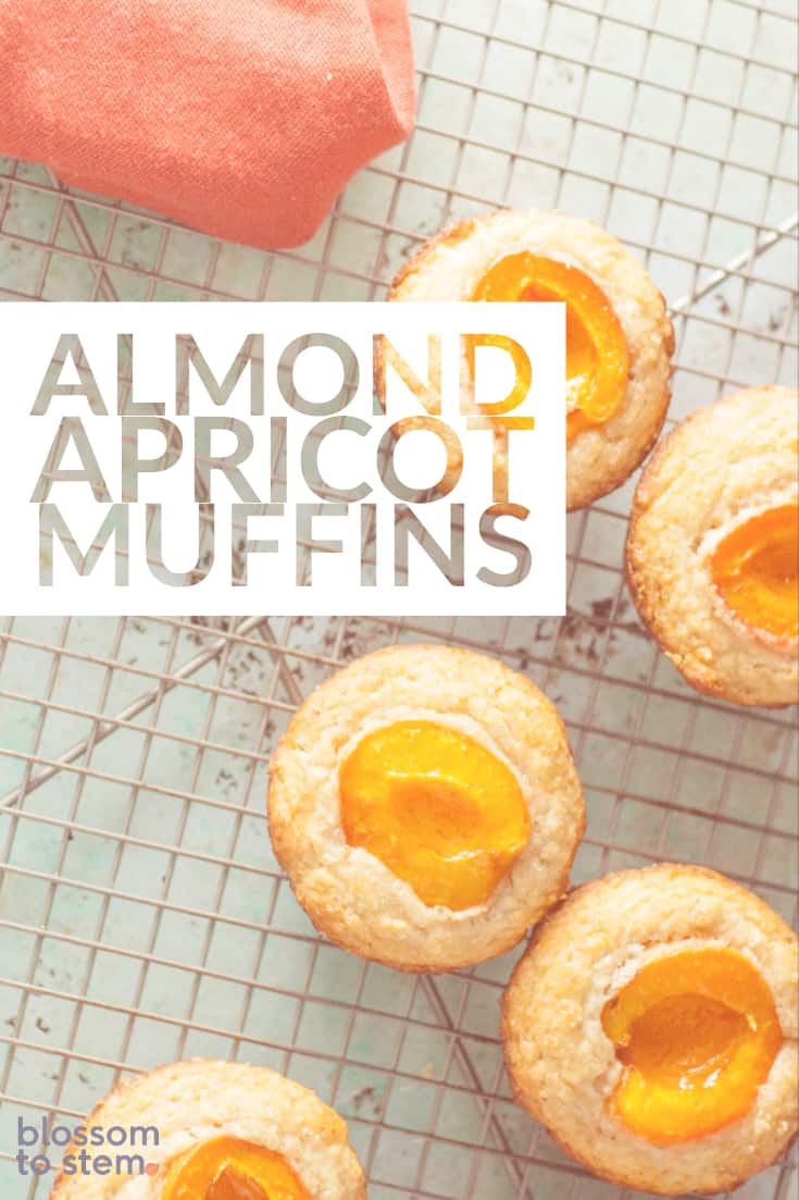 Almond Apricot Muffins