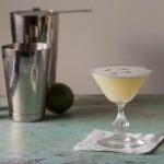 Pisco Sour. A frothy citrusy classic cocktail. From Blossom to Stem | Because Delicious | www.blossomtostem.net