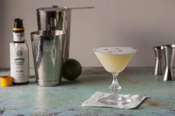 Pisco Sour. A frothy citrusy classic cocktail. From Blossom to Stem | Because Delicious | www.blossomtostem.net