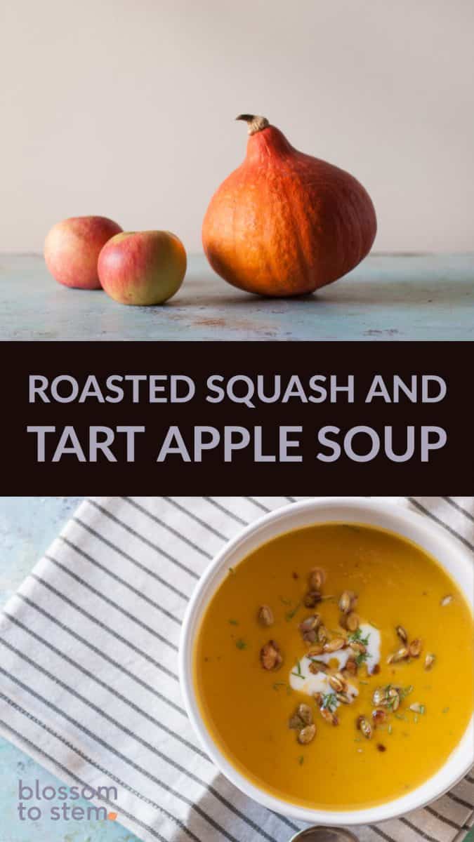 Roasted Squash and Tart Apple Soup