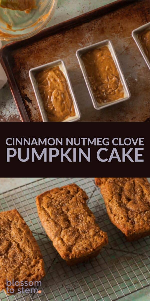 Cinnamon Nutmeg Clove Pumpkin Cake