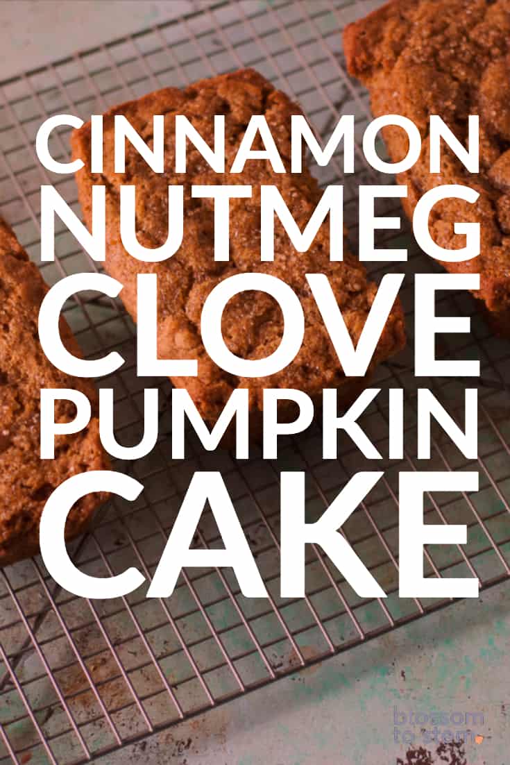 Cinnamon Nutmeg Clove Pumpkin Cake