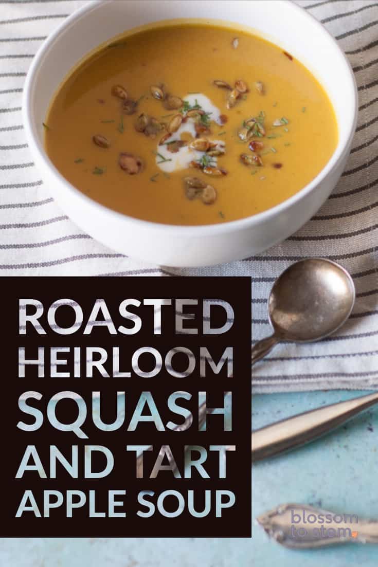 Roasted Heirloom Squash and Tart Apple Soup