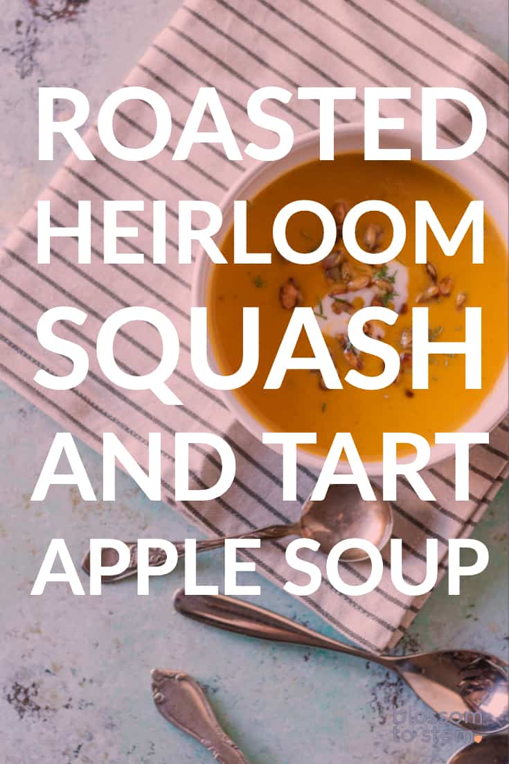 Roasted Heirloom Squash and Tart Apple Soup