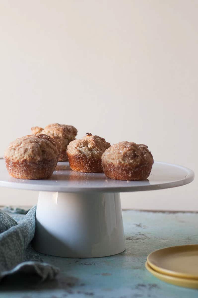 Cinnamon Sugar Oat Muffins
