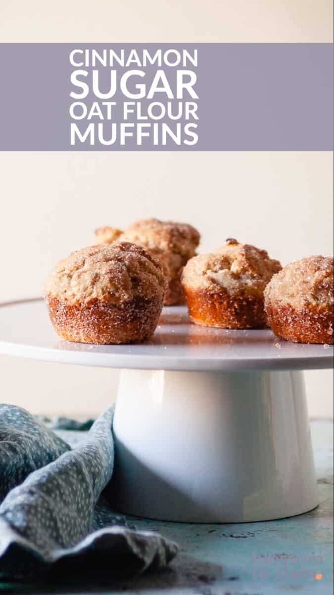 Cinnamon Sugar Oat Flour Muffins