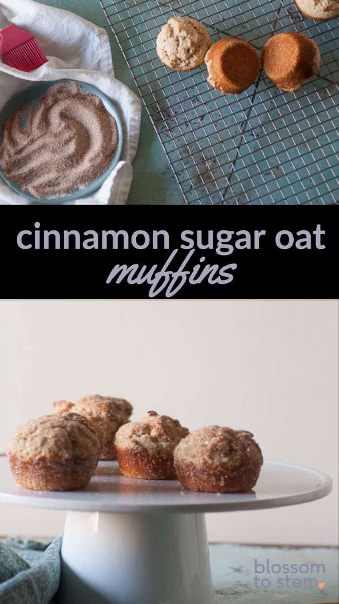 Cinnamon Sugar Oat Muffins