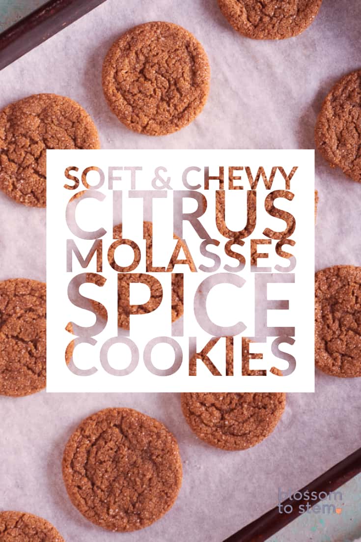 Soft & Chewy Citrus Molasses Spice Cookies