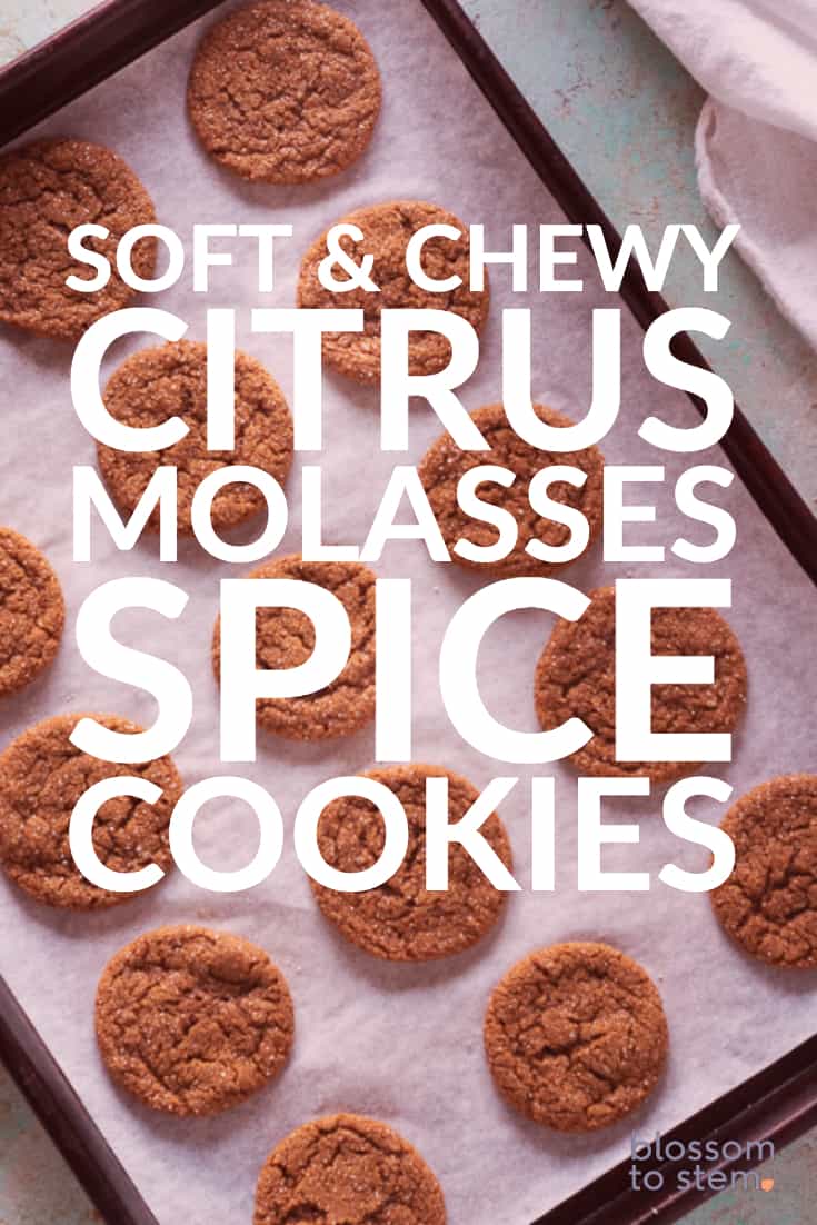 Soft & Chewy Citrus Molasses Spice Cookies