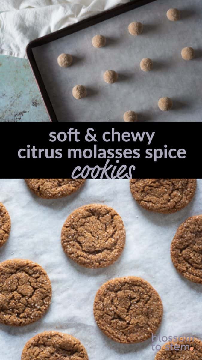 Soft & Chewy Citrus Molasses Spice Cookies