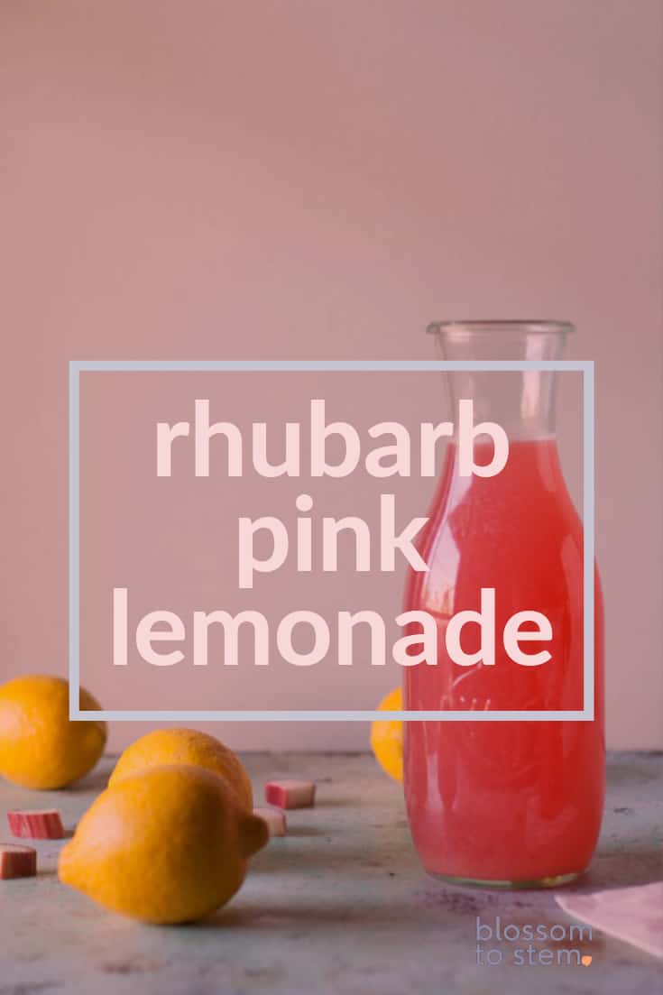Rhubarb Pink Lemonade