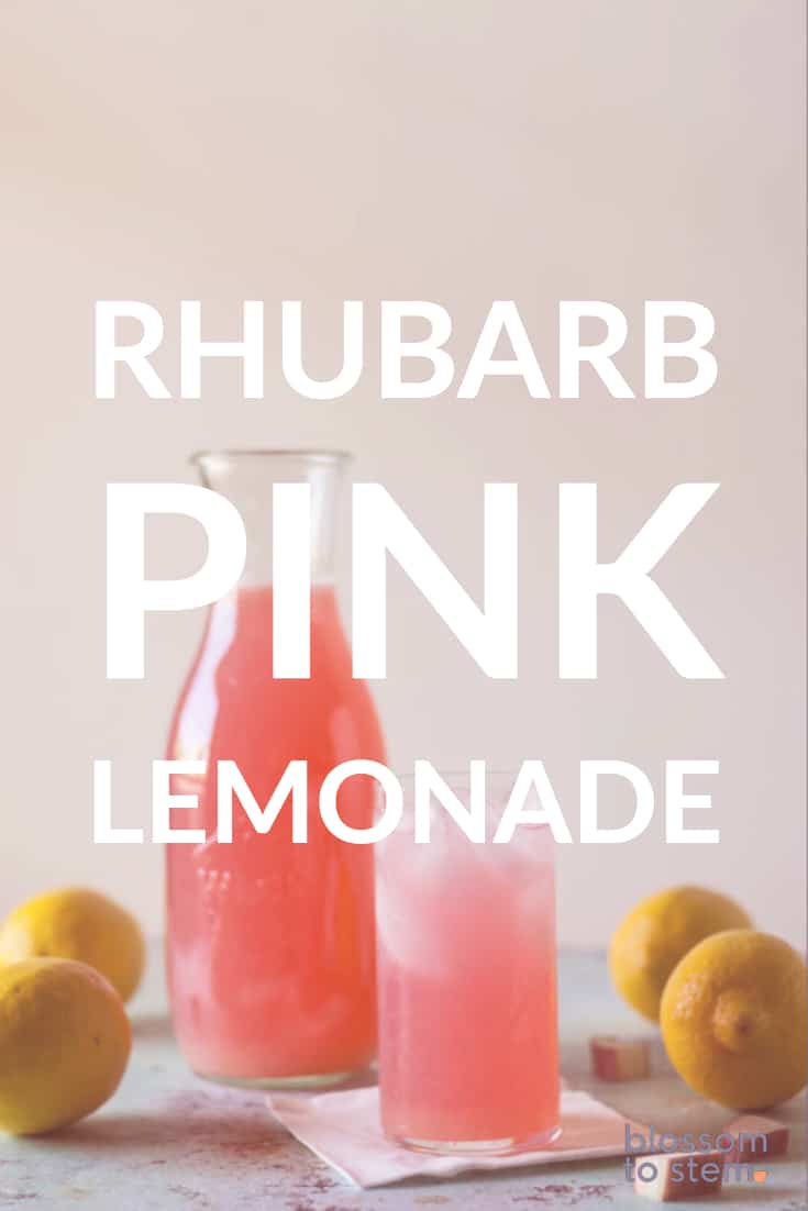 Rhubarb Pink Lemonade