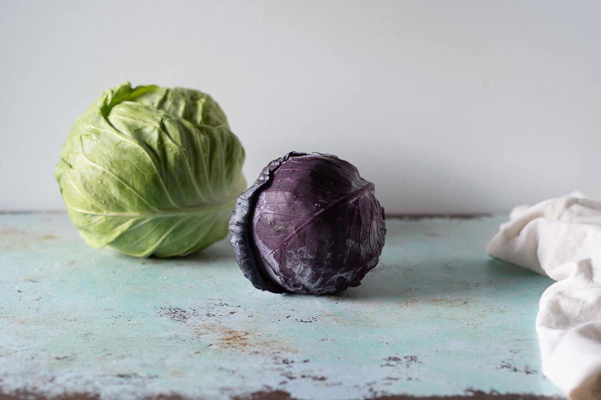 Heads of red and green cabbage