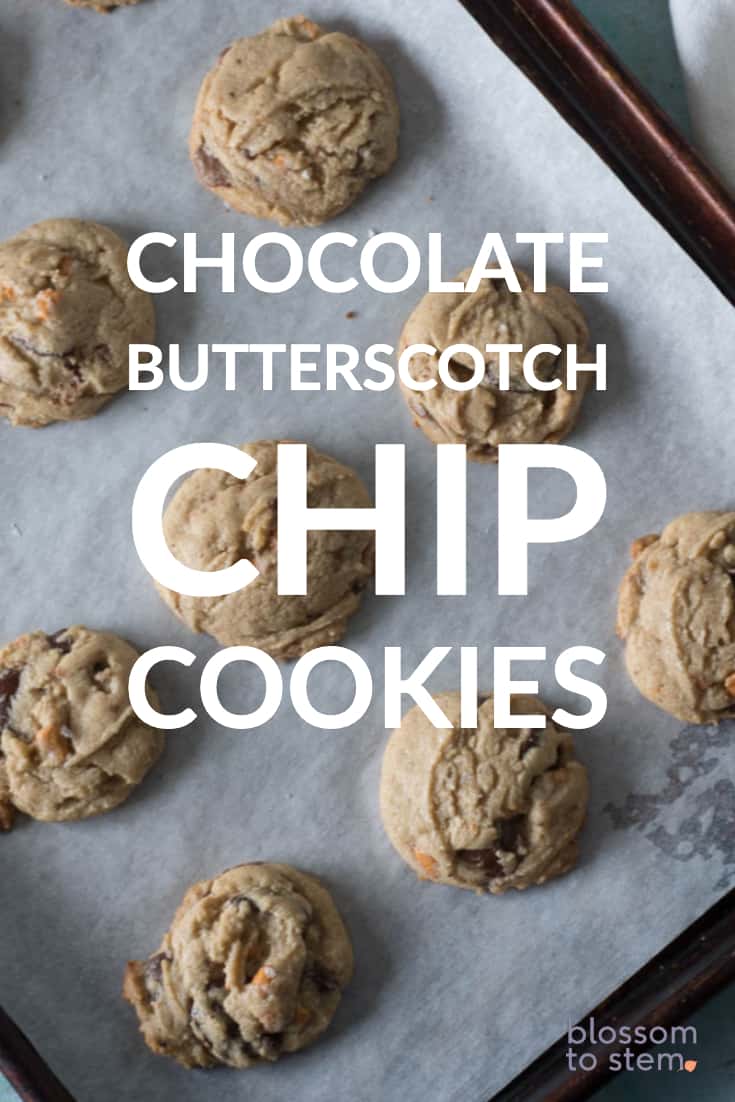 Chocolate Butterscotch Chip Cookies