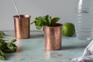 Mezcal Mule. A variation on the Moscow Mule with smoky mezcal, ginger ale, and lime. A simple, refreshing cocktail for fans of mezcal. From Blossom to Stem | Because Delicious | www.blossomtostem.net