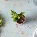 Mezcal Mule. A variation on the Moscow Mule with smoky mezcal, ginger ale, and lime. A simple, refreshing cocktail for fans of mezcal. From Blossom to Stem | Because Delicious | www.blossomtostem.net