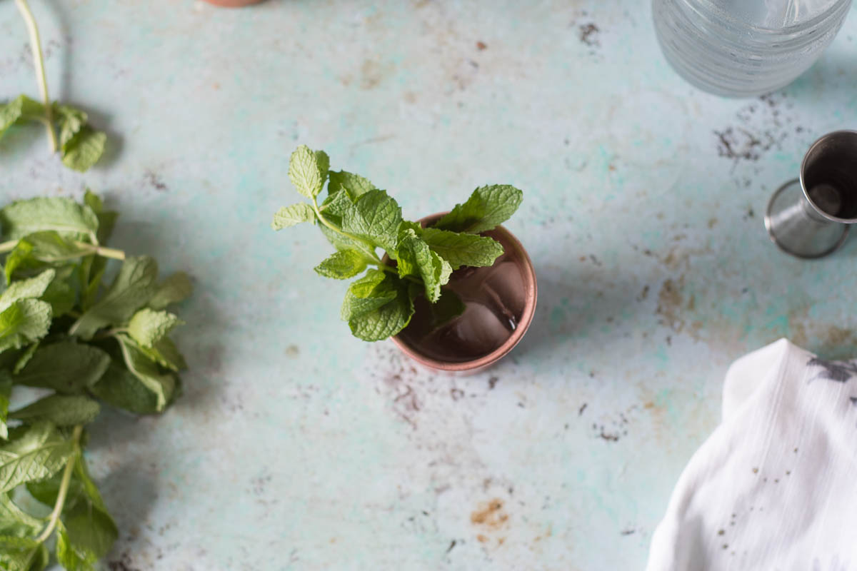 Mezcal Mule. A variation on the Moscow Mule with smoky mezcal, ginger ale, and lime. A simple, refreshing cocktail for fans of mezcal. From Blossom to Stem | Because Delicious | www.blossomtostem.net