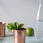 Mezcal Mule