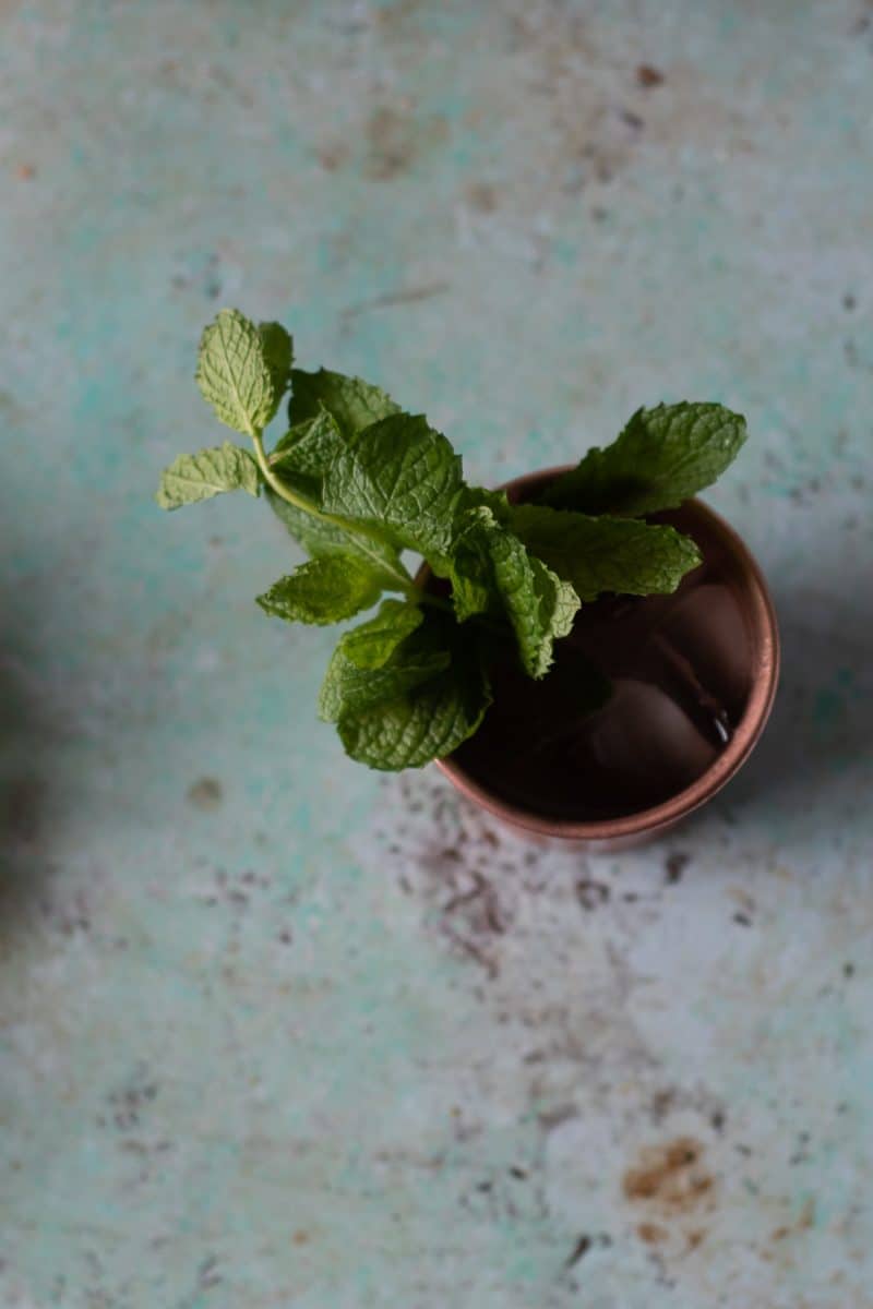 Overhead shot of Mezcal Mule