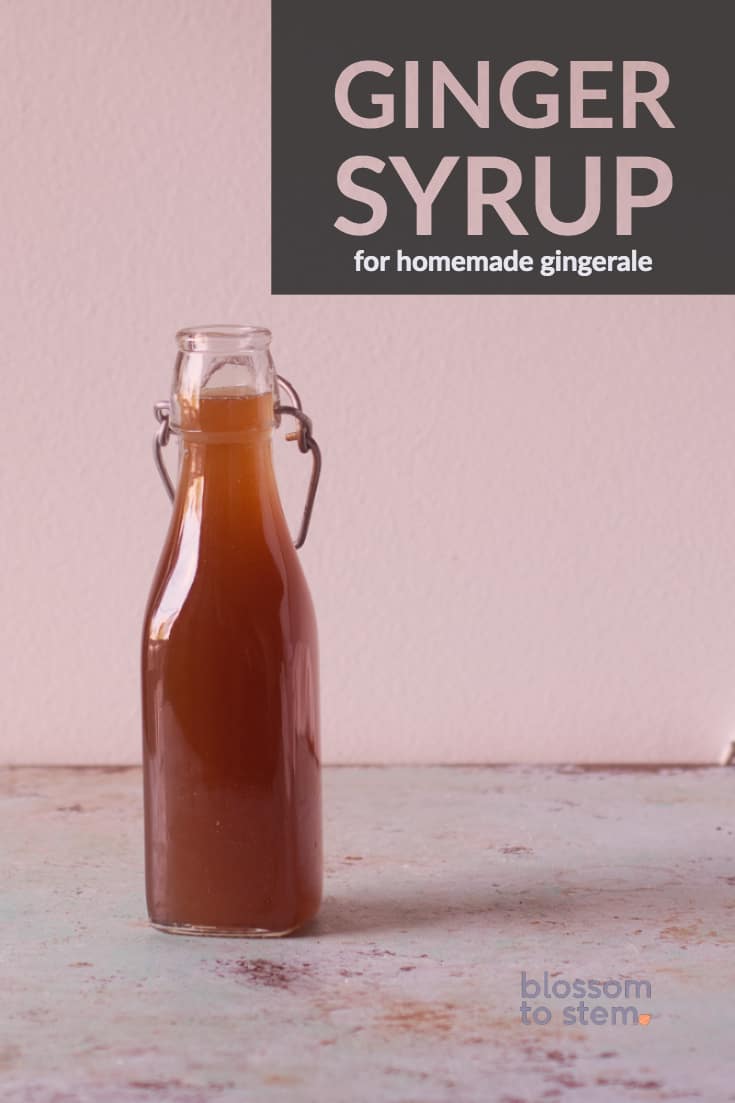 Ginger Syrup for Homemade Gingerale