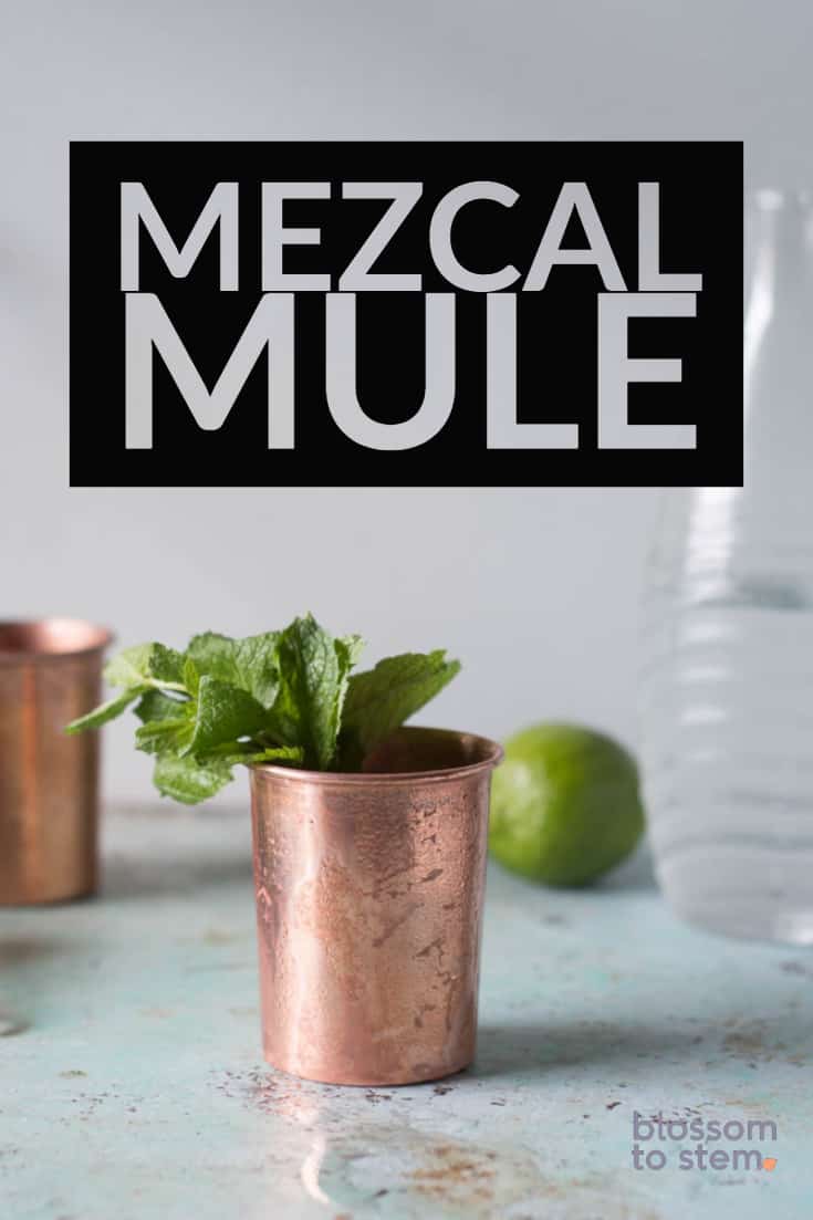 https://www.blossomtostem.net/wp-content/uploads/2016/08/mezcal-mule-for-pinterest-1.jpg