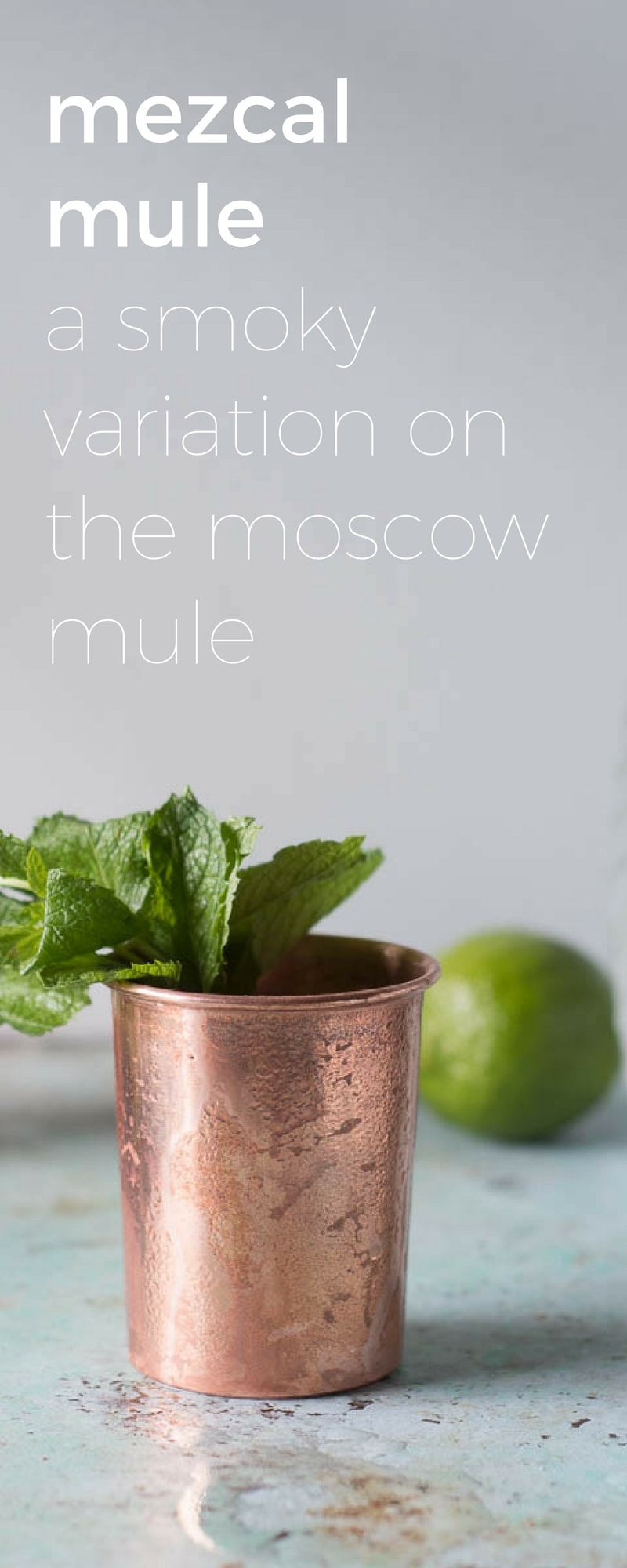 Mezcal Mule. A smoky variation on the Moscow Mule cocktail. From Blossom to Stem | www.blossomtostem.net