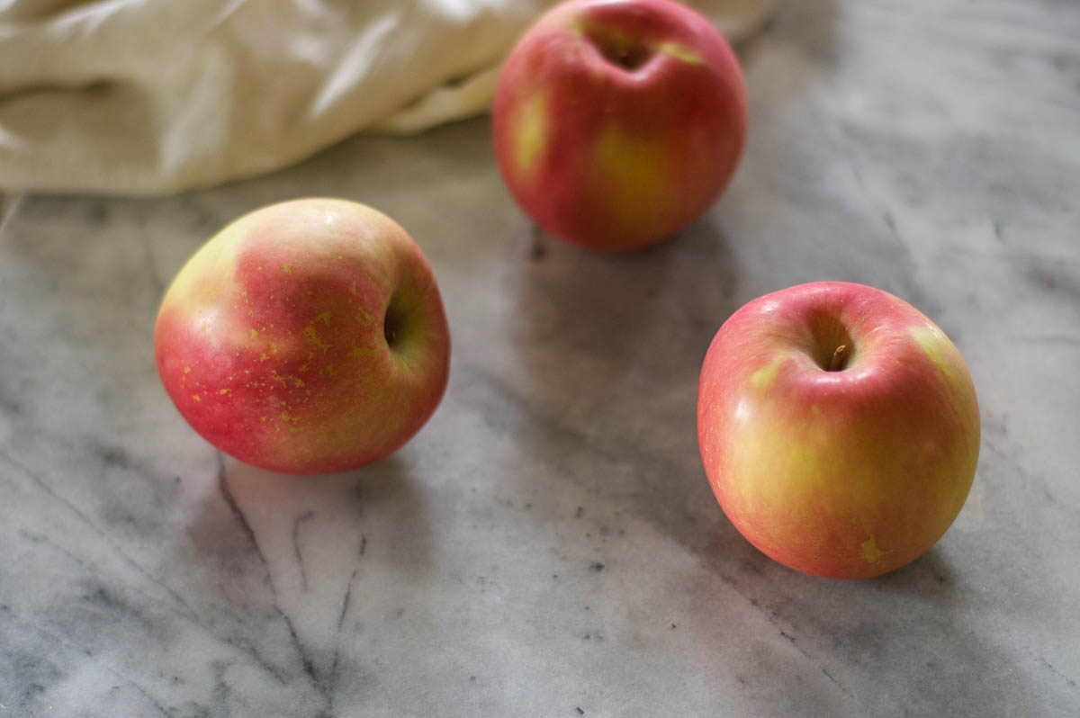 Brown Butter Apple Bars. These cinnamon-kissed bar cookies might be your new favorite apple dessert. From Blossom to Stem | www.blossomtostem.net