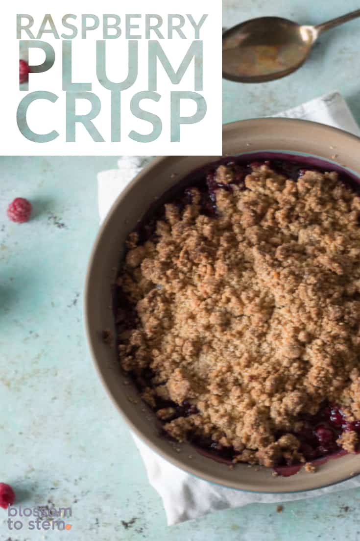 Raspberry Plum Crisp