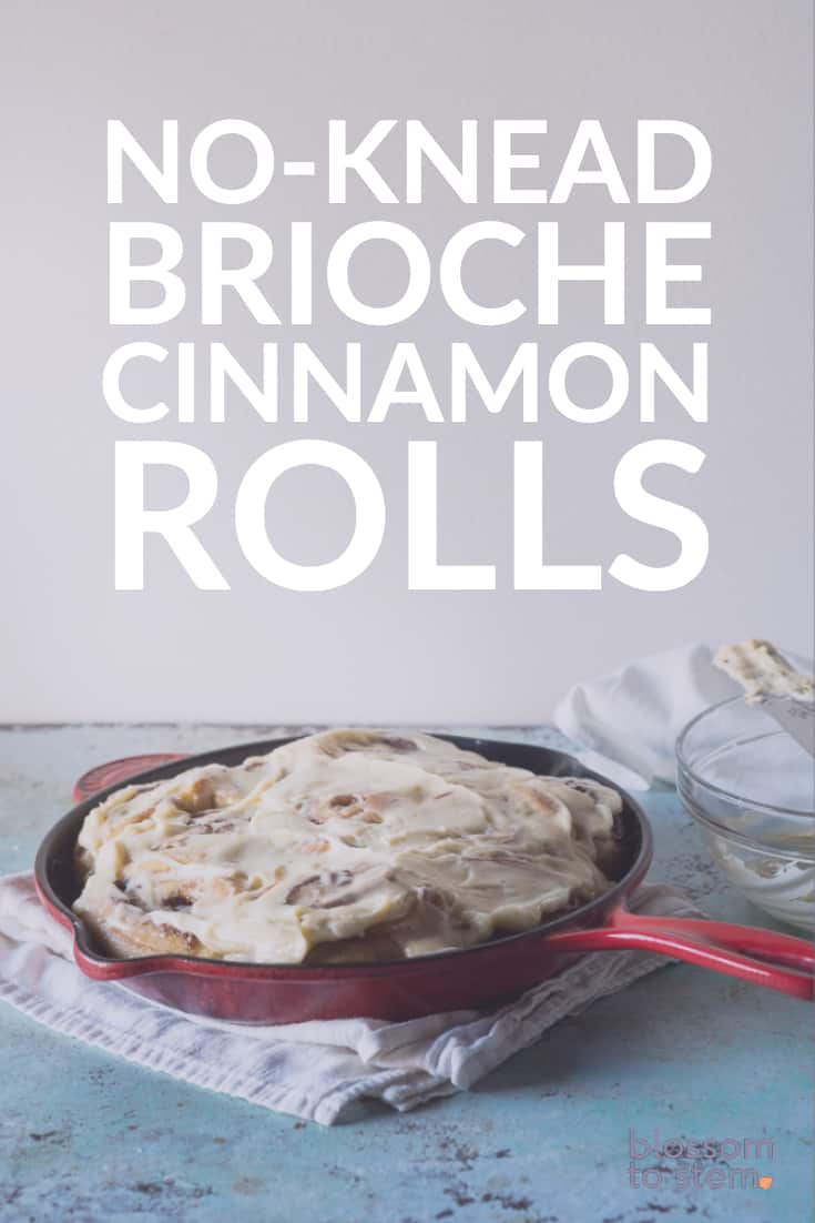 No-Knead Brioche Cinnamon Rolls