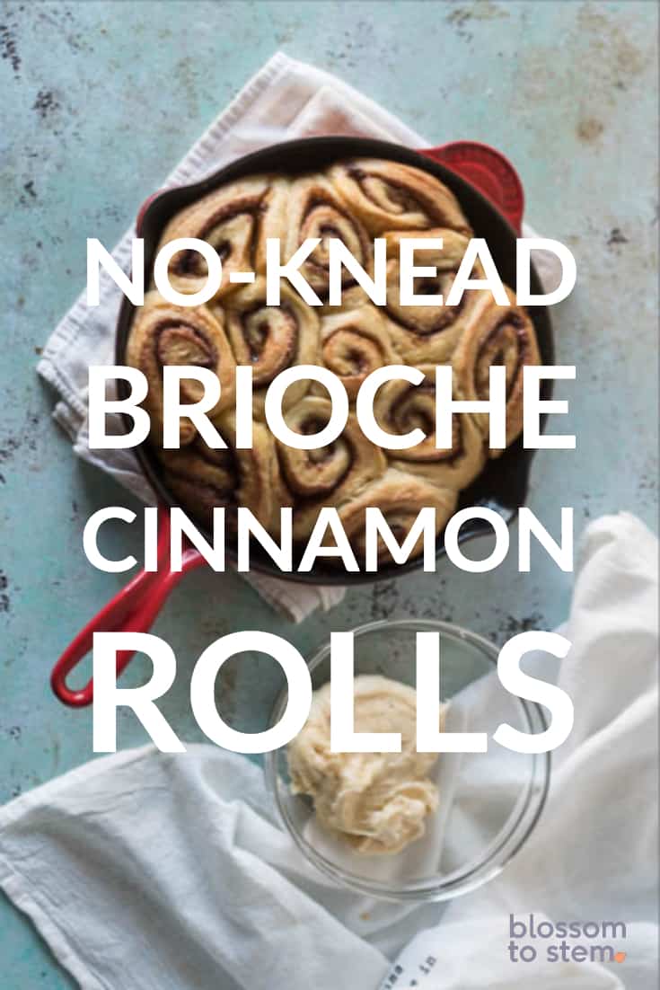 No-Knead Brioche Cinnamon Rolls