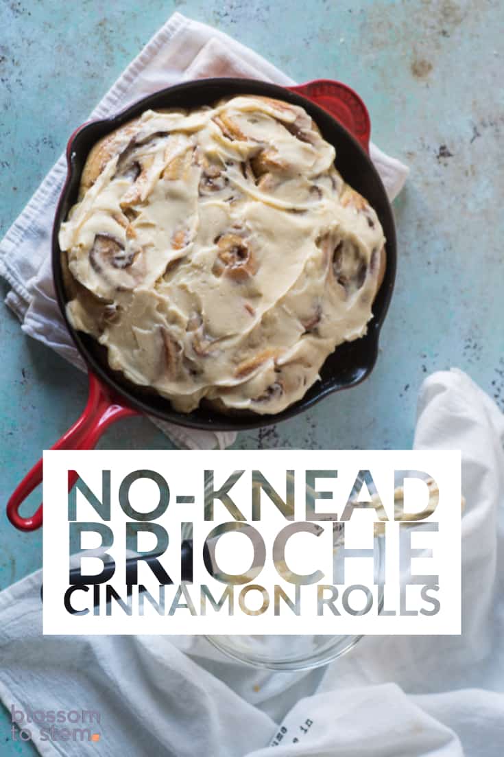 No-Knead Brioche Cinnamon Rolls