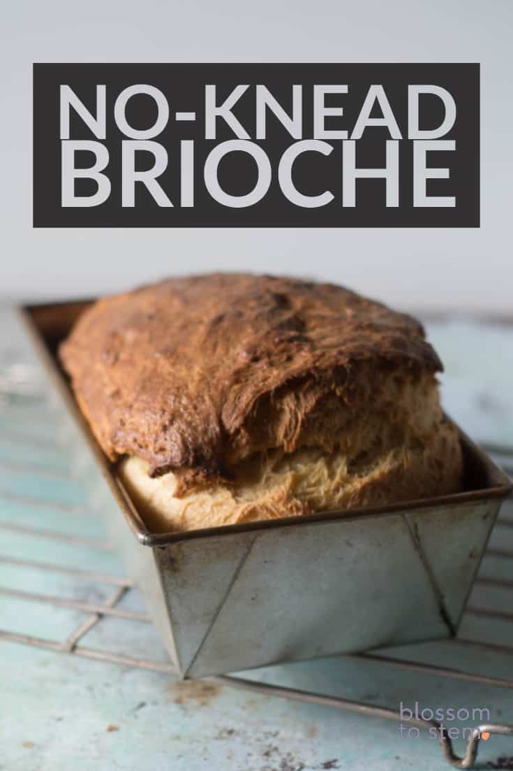 No-Knead Brioche