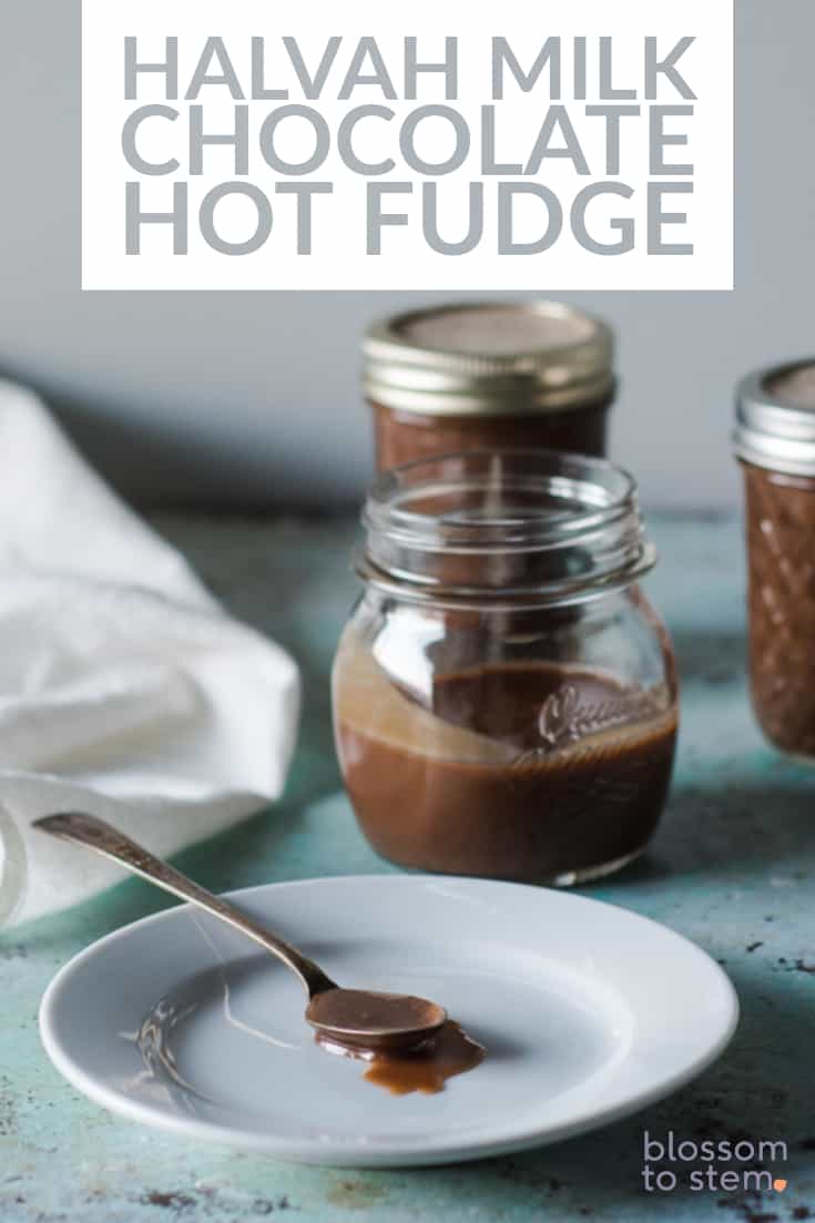 Halvah Milk Chocolate Hot Fudge