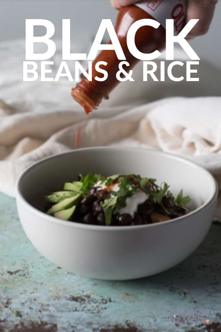 Black Beans and Rice