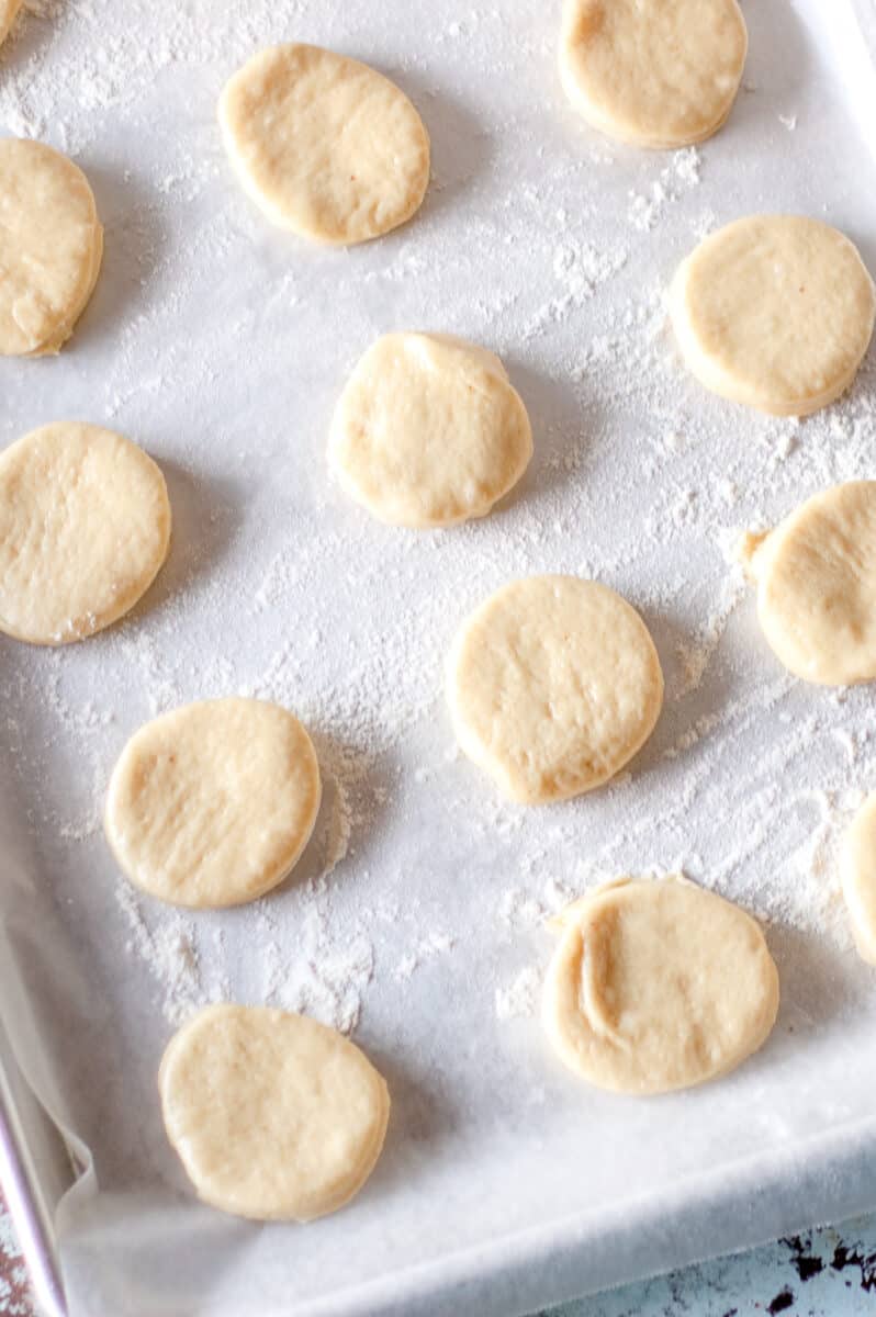 Cut out rounds of paczki dough