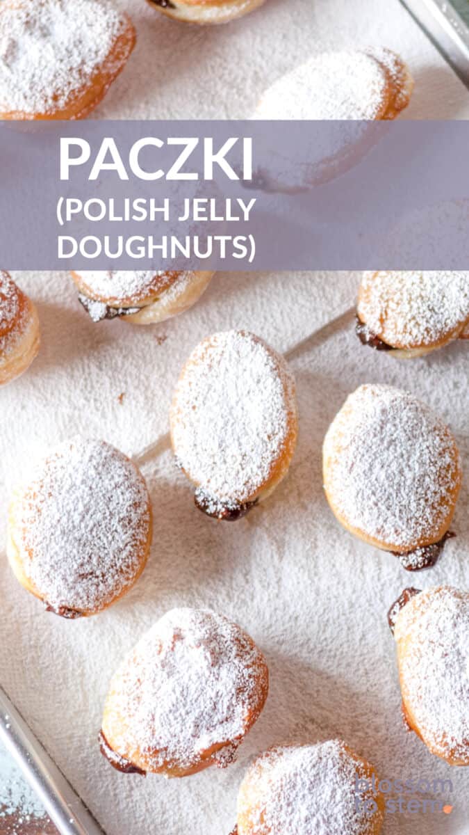 Paczki (Polish jelly doughnuts) on paper towels