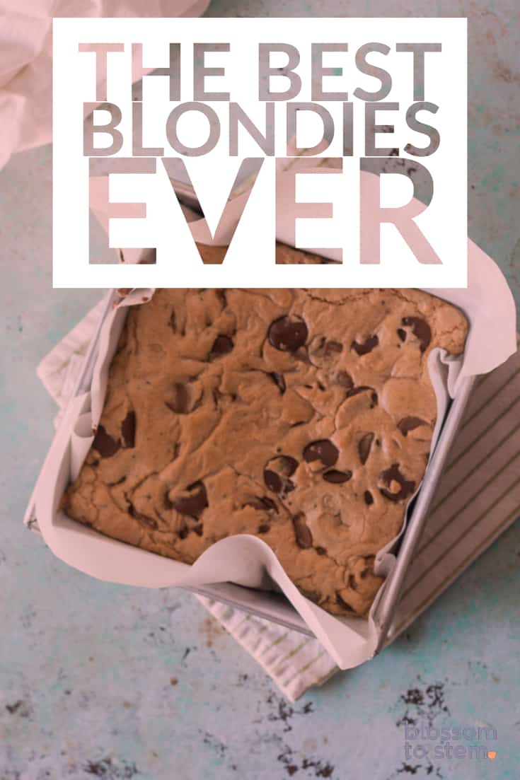 The Best Blondies Ever