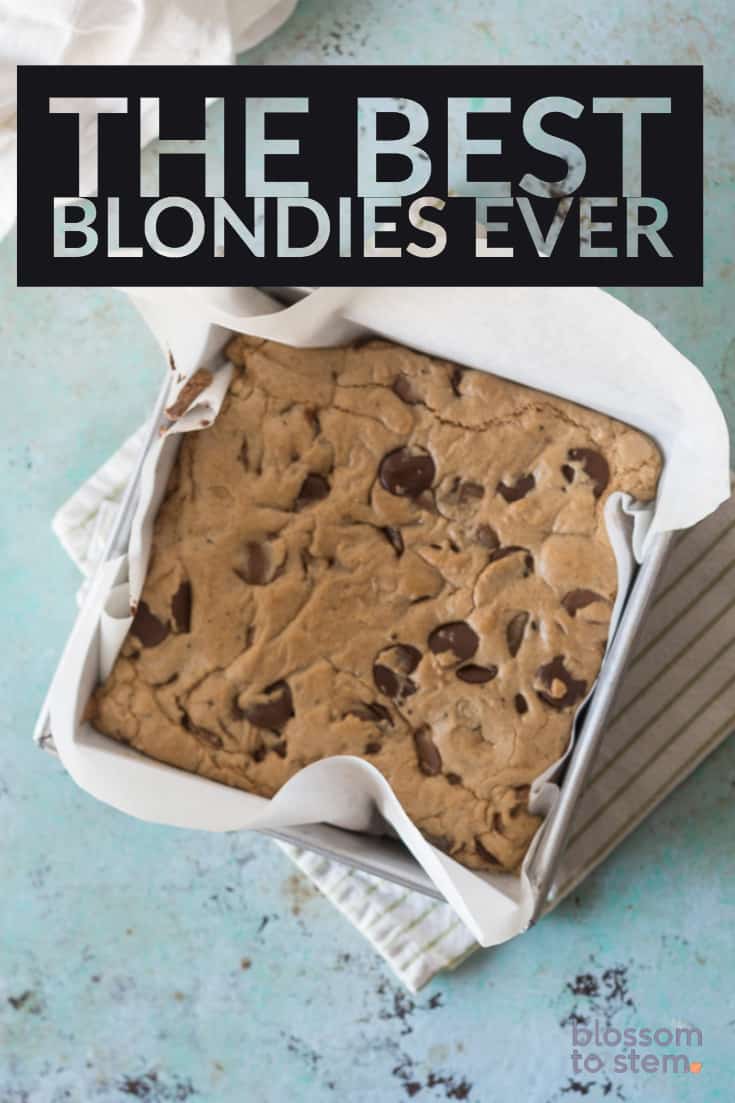 The Best Blondies Ever