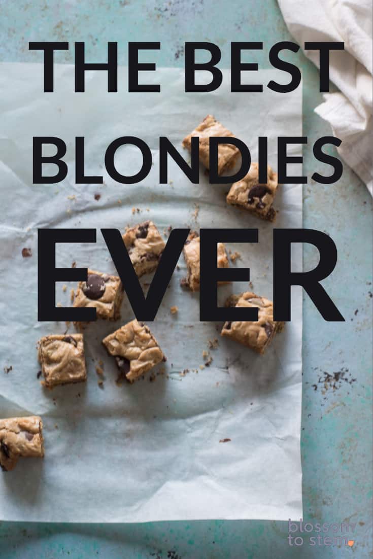 The Best Blondies Ever