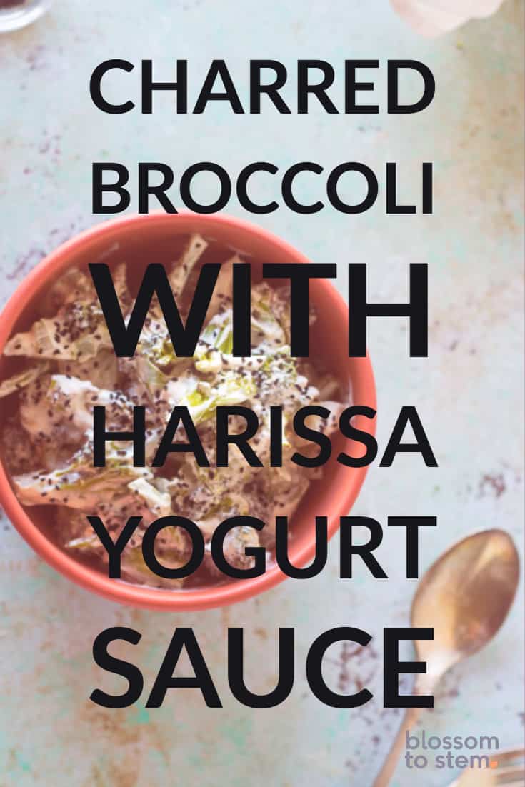 Charred Broccoli with Harissa Yogurt Sauce